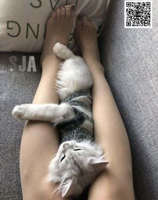 欧美激情在线观看视频_蓝光日韩免费观看