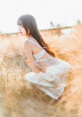美景之屋在线播放_BD国语HD在线观看