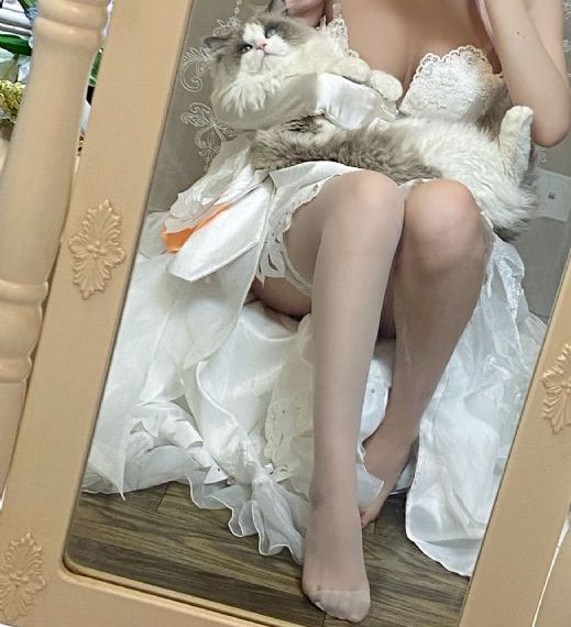 婚词离曲第四季全部16集_BD国语完整在线观看