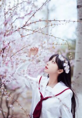 看免费黄色小说_720高清完整版播放